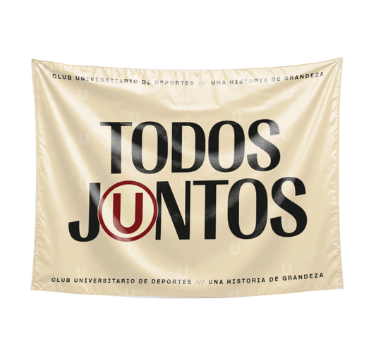 BANDERA "TODOS JⓊNTOS"