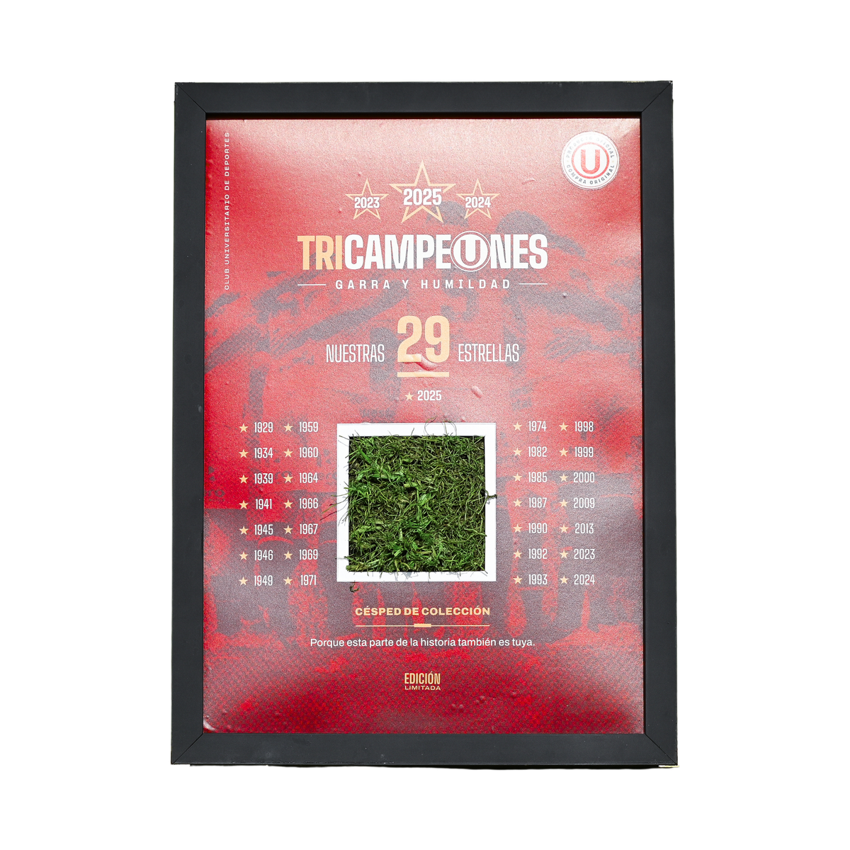 CUADRO DEL CÉSPED MONUMENTAL "EDICIÓN TRICAMPEONES"