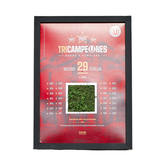 CUADRO DEL CÉSPED MONUMENTAL "EDICIÓN TRICAMPEONES"